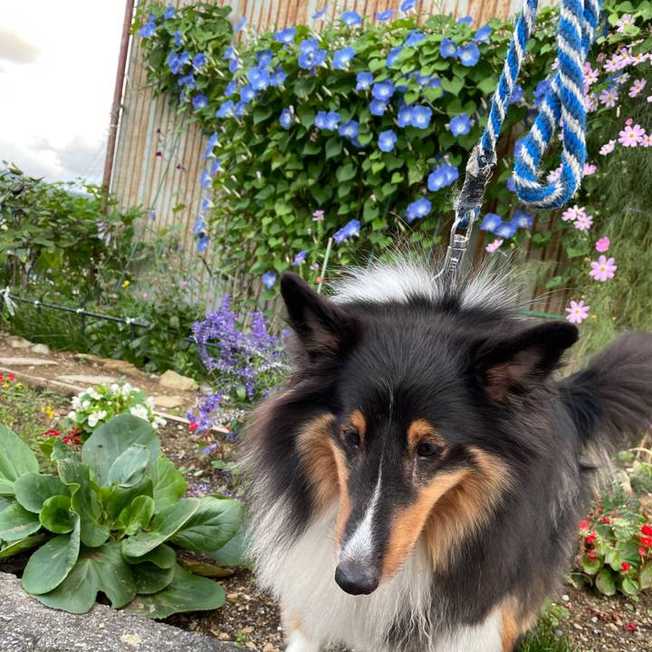 84cf40f3 af72 4dfc b31b b4661c848b5b 1632644645977