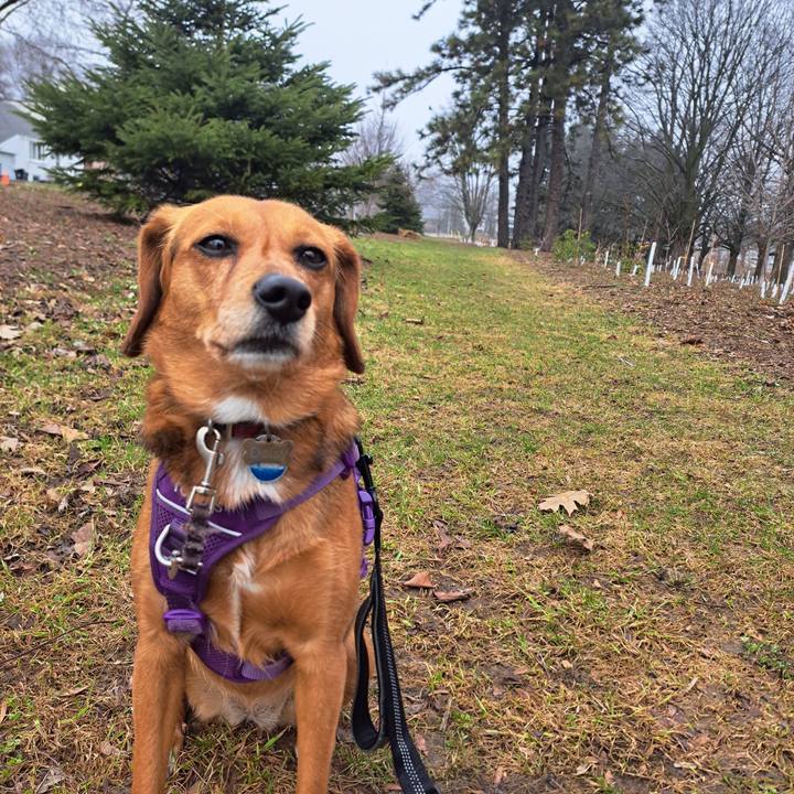 84cfae8d 0df1 401e b37b 172cfeffffe1 1774990987238