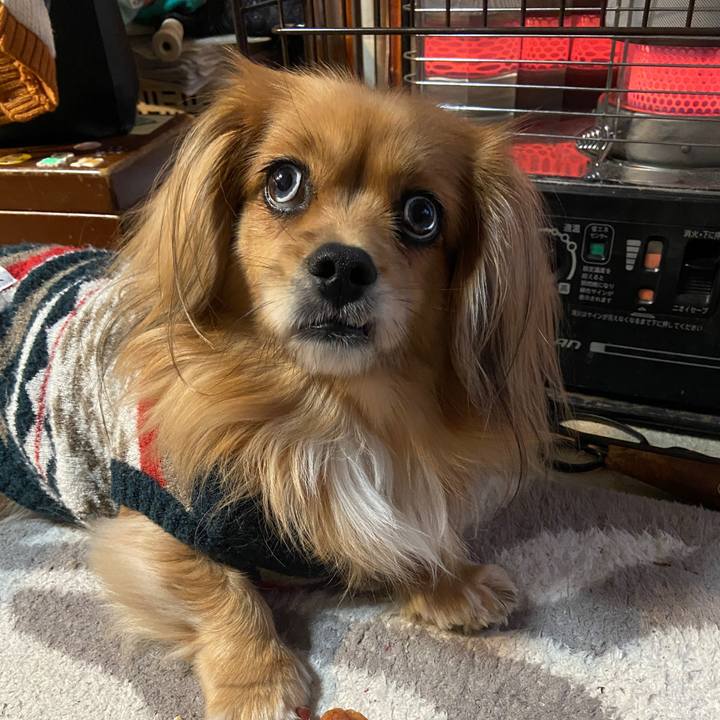 84cfbff0 443e 4d44 b0ef 9c814d256fe4 1640296477869