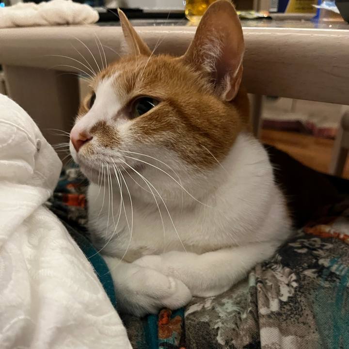 84cfc2fd da0c 4fe1 a33b 15c70f5515d3 1667812855630