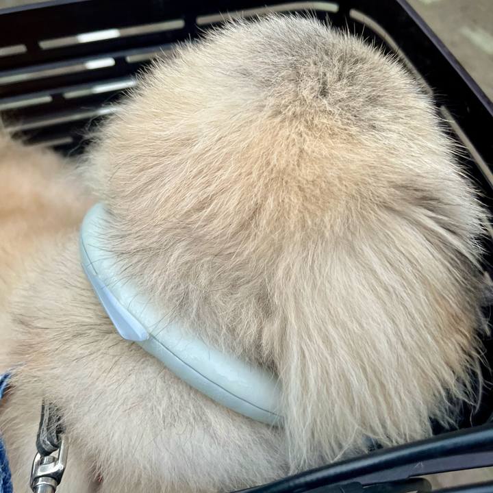 84cfd854 8ce2 480a a36b e9158921f84c 1753264669872