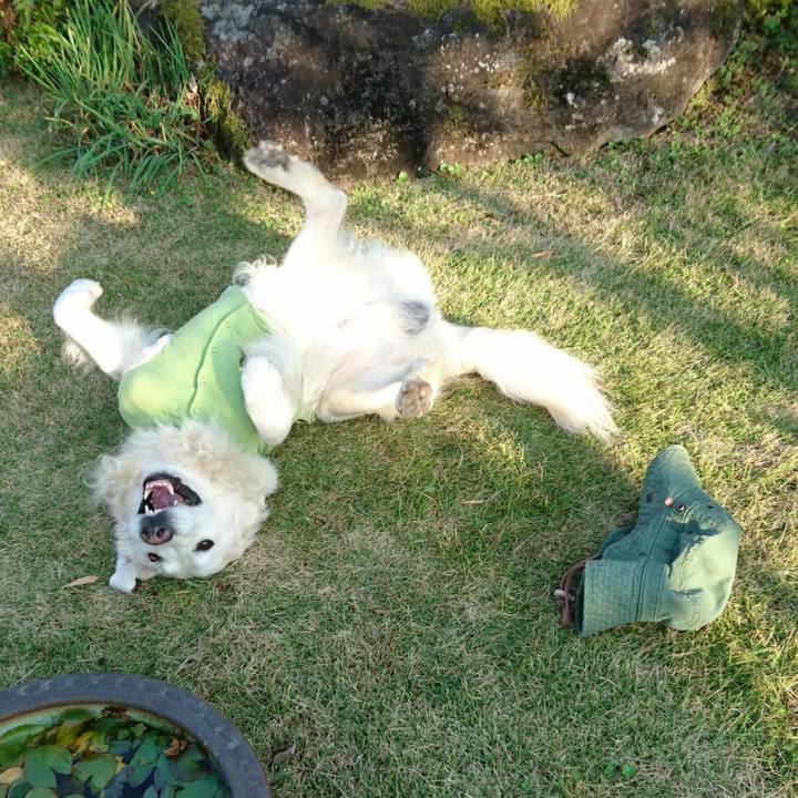 84cff625 aa8b 423b a6de 5324fa5672ce 1542762952372