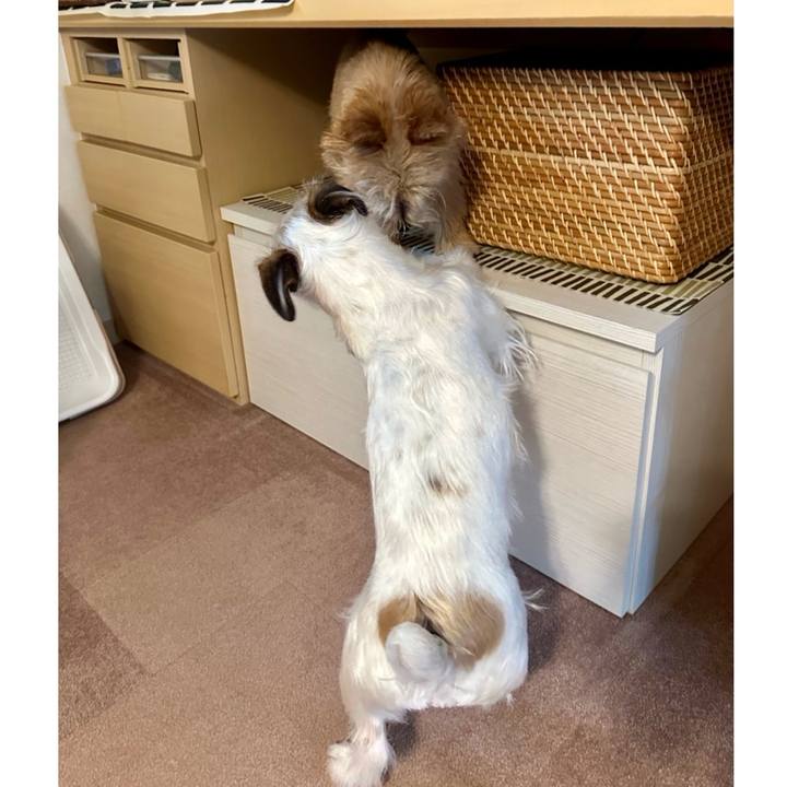 84d00627 38ad 4f73 be0b 60ef9eb85a13 1713405758341