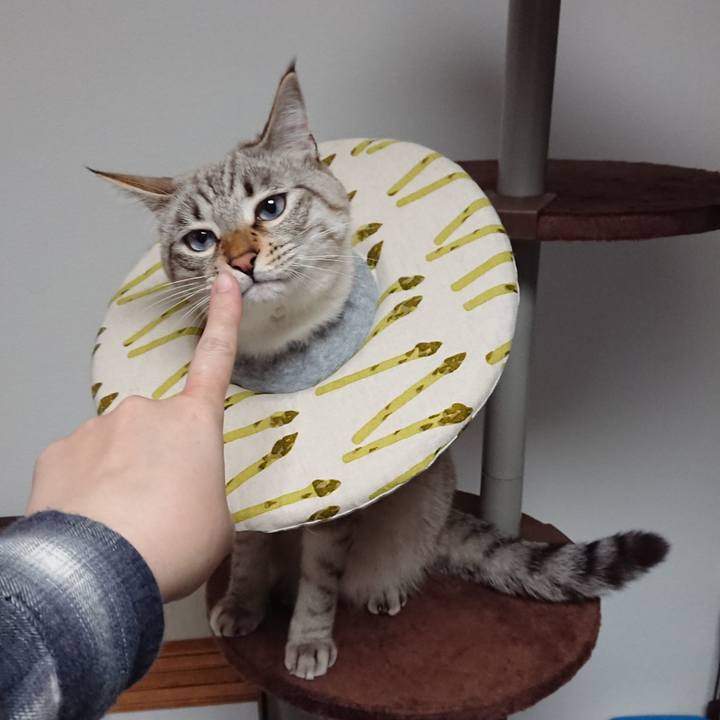 84d0399c 0757 4bc8 b80d b3f359b4a85c 1557832837533