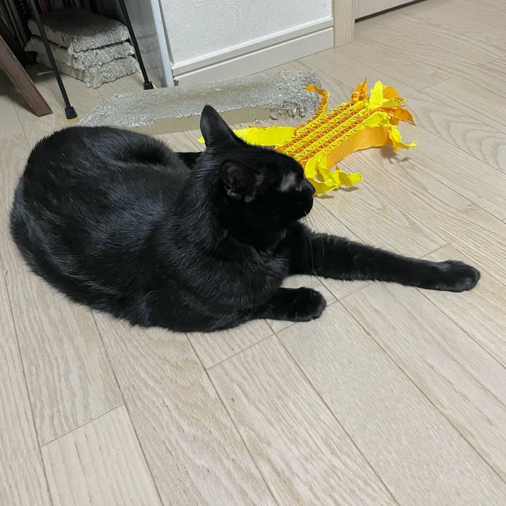 84d0831c d980 412b 9a88 3dd98e5ba98b 1701771466989