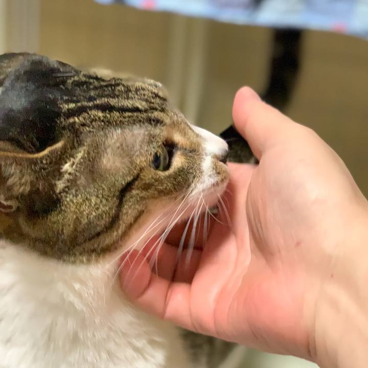 84d09e76 4e74 49e8 b5b5 ad72bb990921 1600304943290