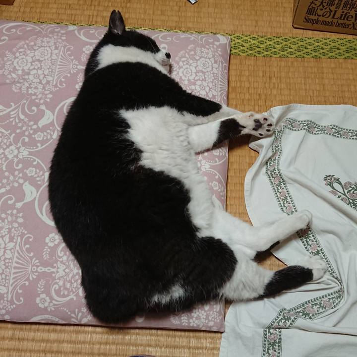 84d0f3e3 280b 4777 985c 753a9cb90ee5 1657770576205