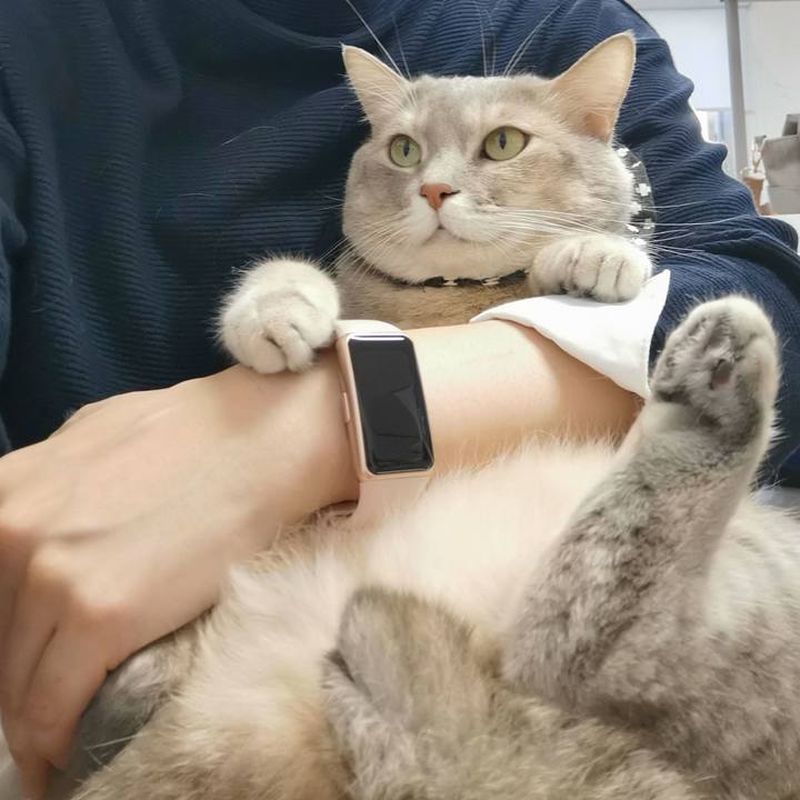 84d13252 a204 4fd3 a799 15e415159ef0 1667618444619