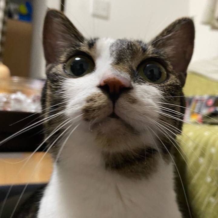 84d16cfe 7646 4ac7 b92c 32f173e19b99 1659456284941