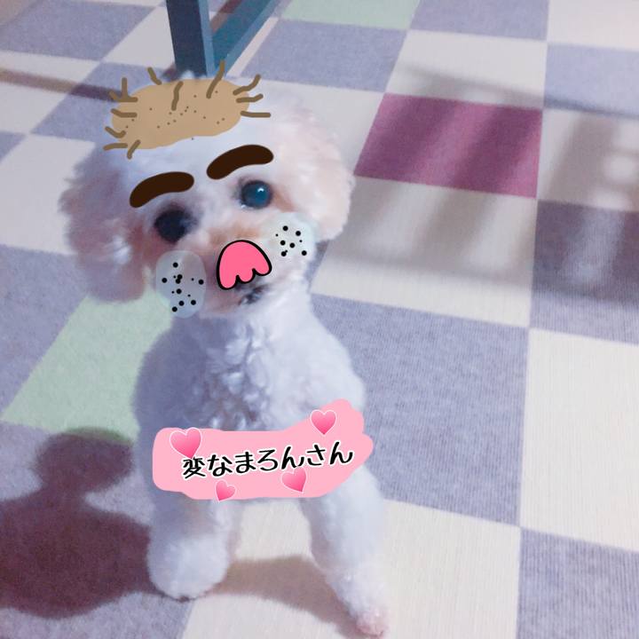 84d19e3c bc27 4f8c aef3 acb2425ded7a 1536496423321