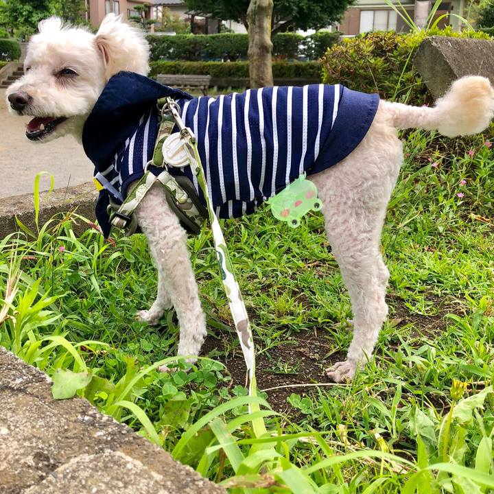 84d1a618 1868 45ac 953e bb17fd6e16f4 1530112176370