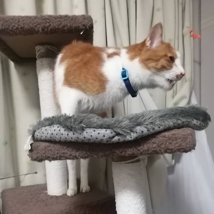 84d1dc5b 6d77 427a 8a92 52c29e6847d9 1624274238554