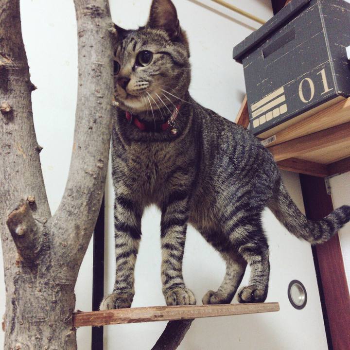 84d1ed61 745f 43e3 9ee7 dbd16273992f 1514159495657