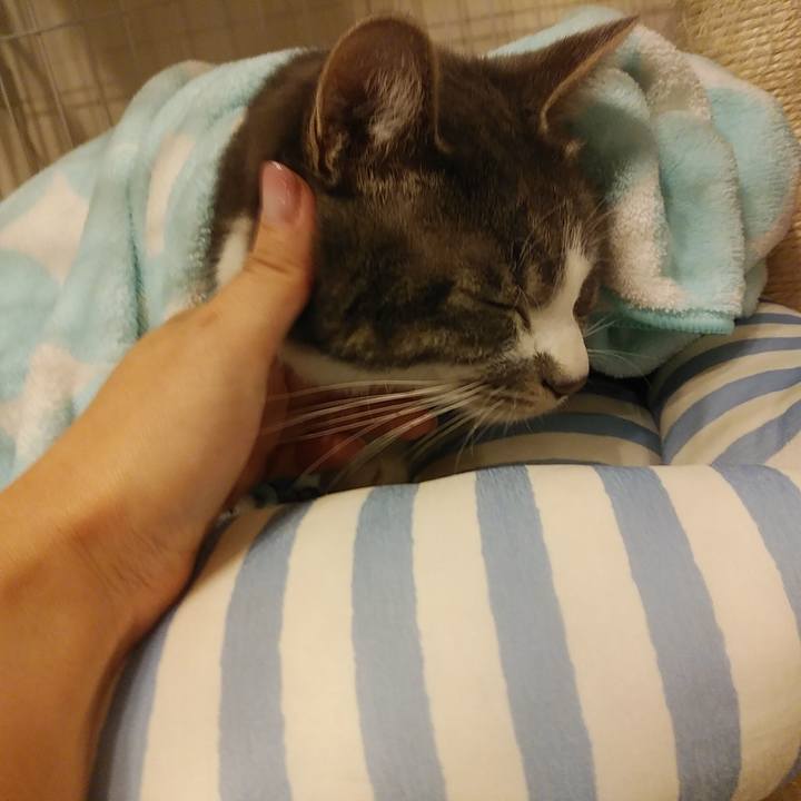 84d241bb 3d9d 4952 b30b 68a1f7806f18 1584288621523