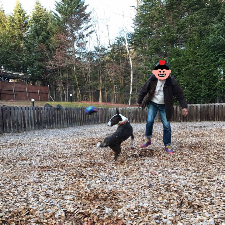 84d26075 de34 4076 8f83 9b44b16cea0b 1510906716949