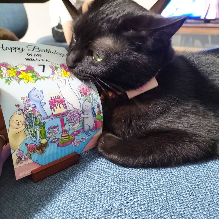 84d28272 d894 461e b429 89c684486726 1686315524215