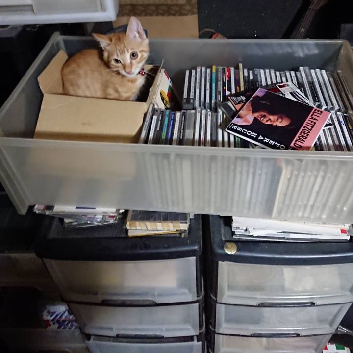 84d296f6 800e 45e6 9be2 96e783e63358 1632486455176