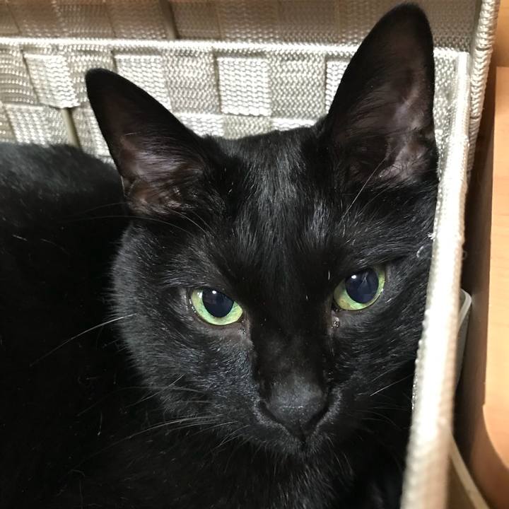 84d2ab10 47c3 4d80 b521 04e3405af03b 1535156340716