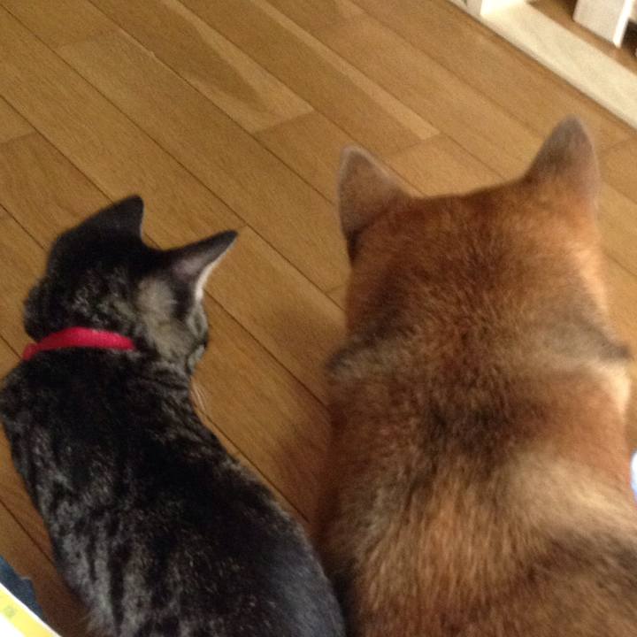 84d2be5e 5215 4eec 9220 26d85aa5cbb1 1533019996744