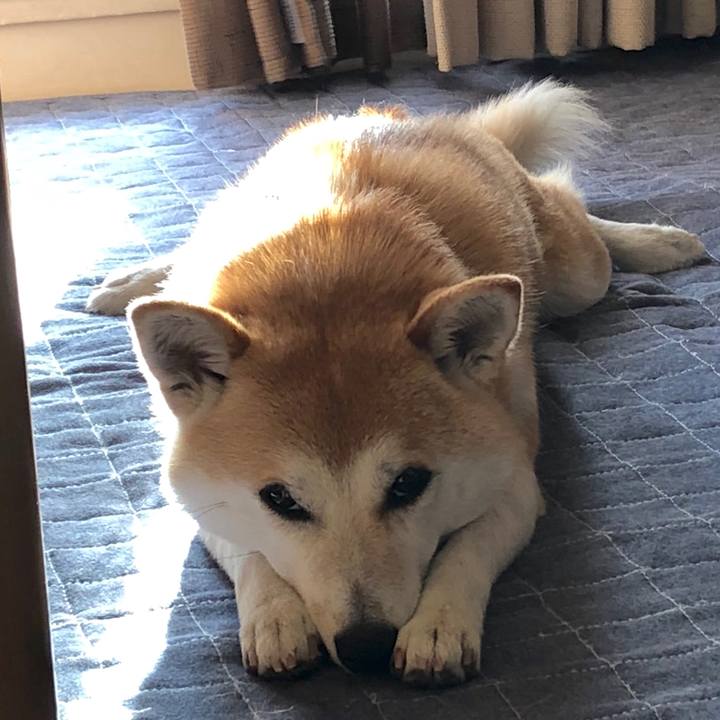 84d2c36d 1d22 4d7b 8532 7130e4c666d7 1527928452227