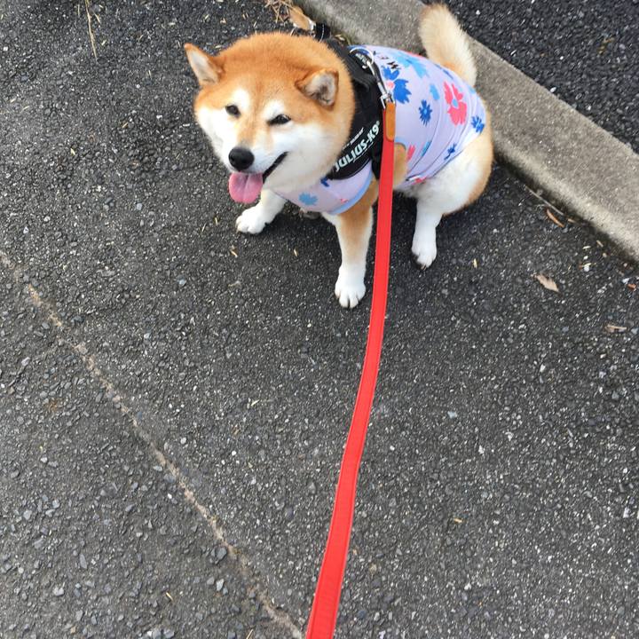 84d32d05 1a67 4a29 b4f5 76d581a43ed3 1596585600070