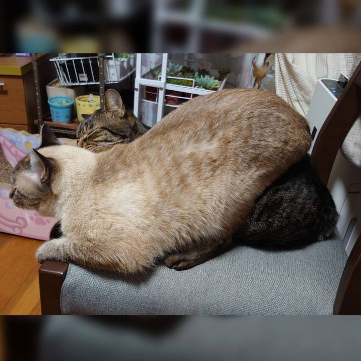 84d3a068 deb7 4765 b172 6e1384bc002a 1663669953464