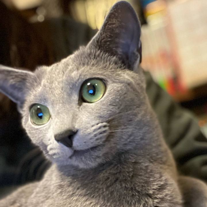 84d3bc11 c423 4d11 9119 65bf67960684 1612399245494