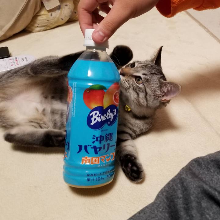 84d41aff 0c65 4cb9 b26a 99b3861e4408 1666533857851