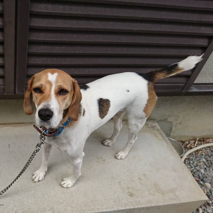 84d44417 0fb4 447d a45a 36c9ce88fd39 1573011096547