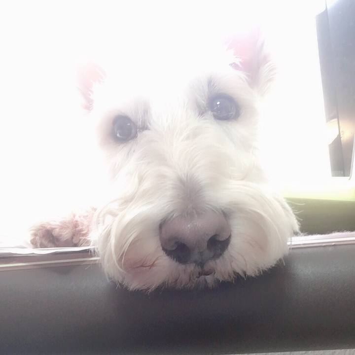 84d444e9 16b9 496d 94cd cf2754a66540 1549514103344