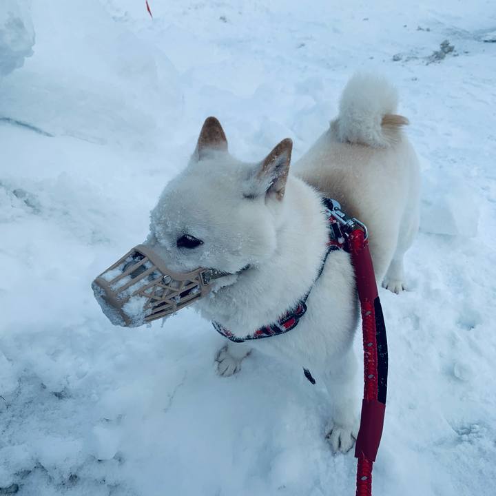 84d45a5d 9c1d 43ec 9d64 727a7923bede 1642483579554