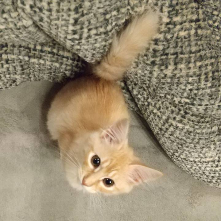 84d47264 8591 43da 93f5 3a646871d784 1608206438099