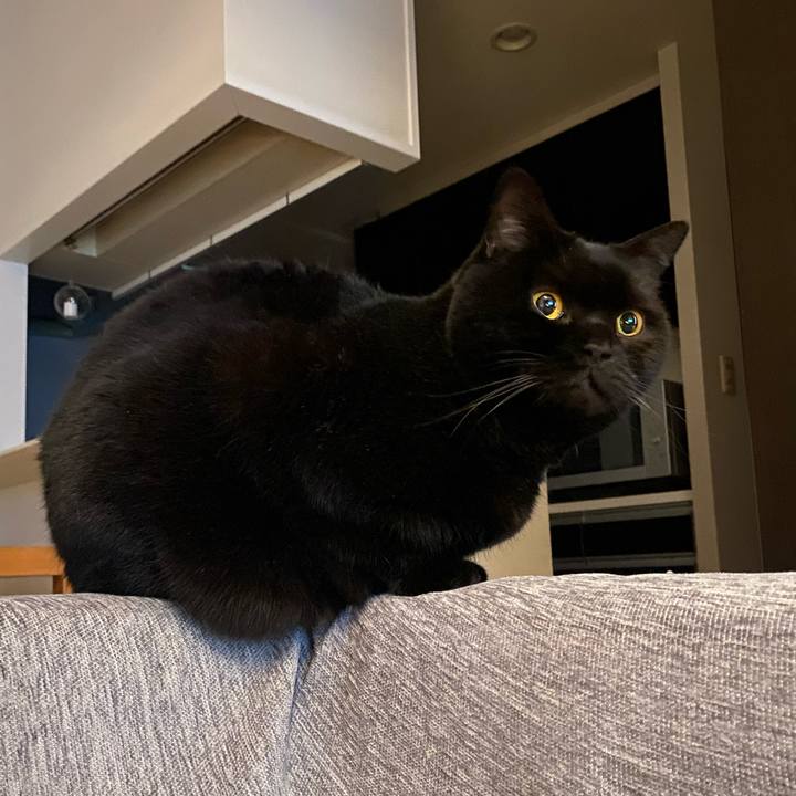 84d4b701 f814 477c a02b c5f08526a6e5 1742905686913