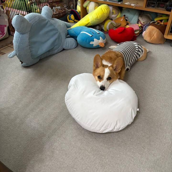 84d4dcff ea95 40cd 93cc 789568dc7fe5 1762651718904