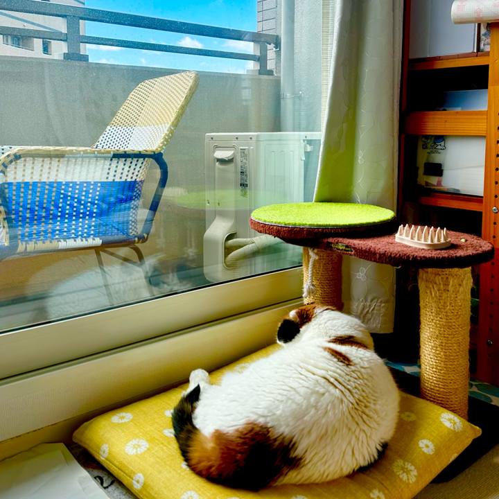 84d4fa2a c8ce 4e32 9b56 429a6bd0a5c5 1712019566399