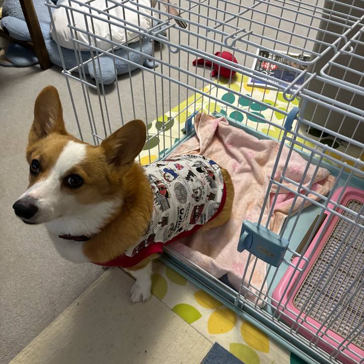 84d52484 6086 450f 8dd9 9d84fc2243bb 1761376593605