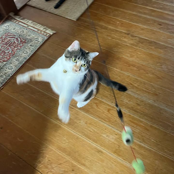 84d54800 7e13 40a5 8fd7 1e937f61efbb 1757985335680