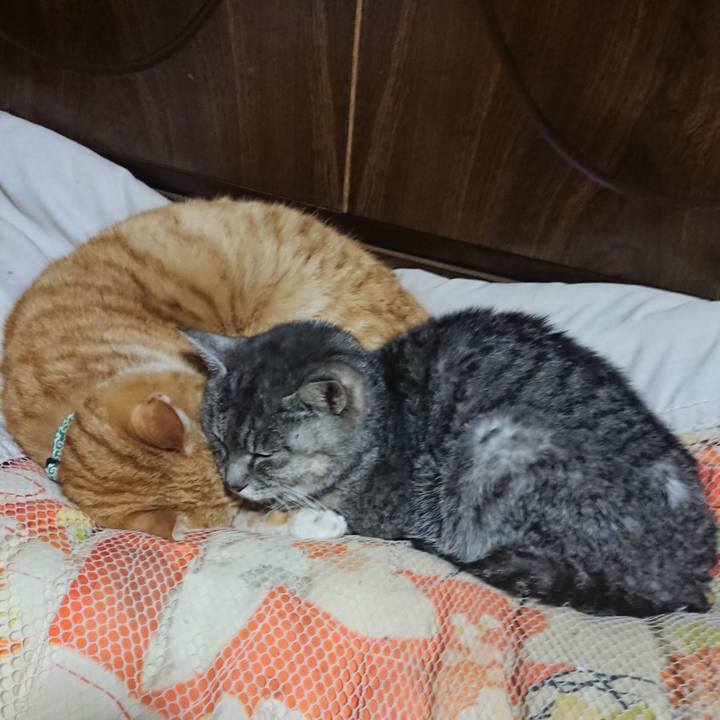 84d5a901 f006 476c 9003 6e18adc770de 1580819899912