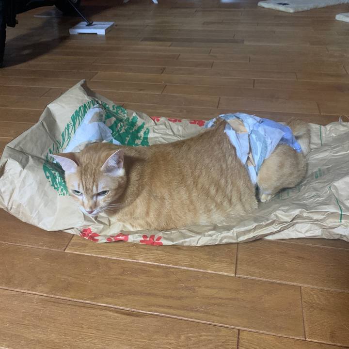 84d5adc2 9963 4fbb a7d2 f84d626ddde3 1665780918364