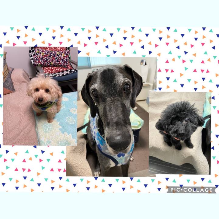 84d5c1d7 89ca 41e0 be3b 4c08a9079272 1621205687371