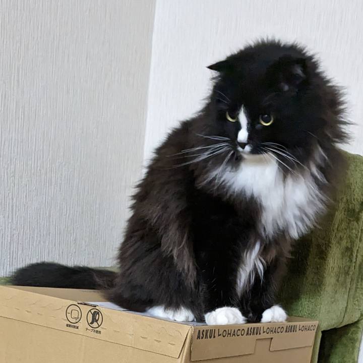 84d5c3b7 580c 4866 a4f2 0534b58bdbcc 1686863918538