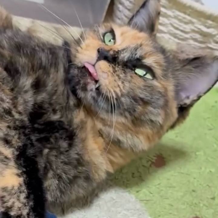 84d5ca3b b556 4ef4 820e 37db34630685 1755377779369