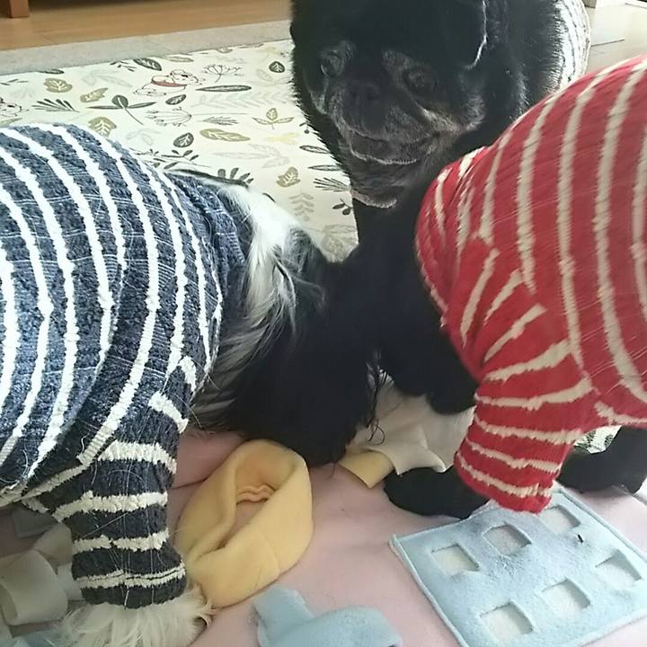 84d5d966 d357 4860 82ab 057fc2a60826 1541480847368