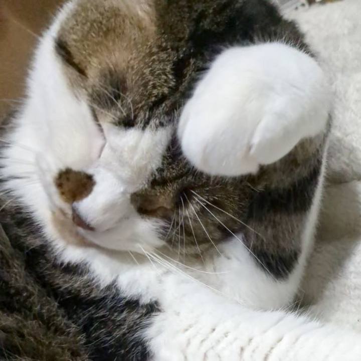 84d5fb9f 38a2 428d 89dd b5460ca54c60 1688647260141