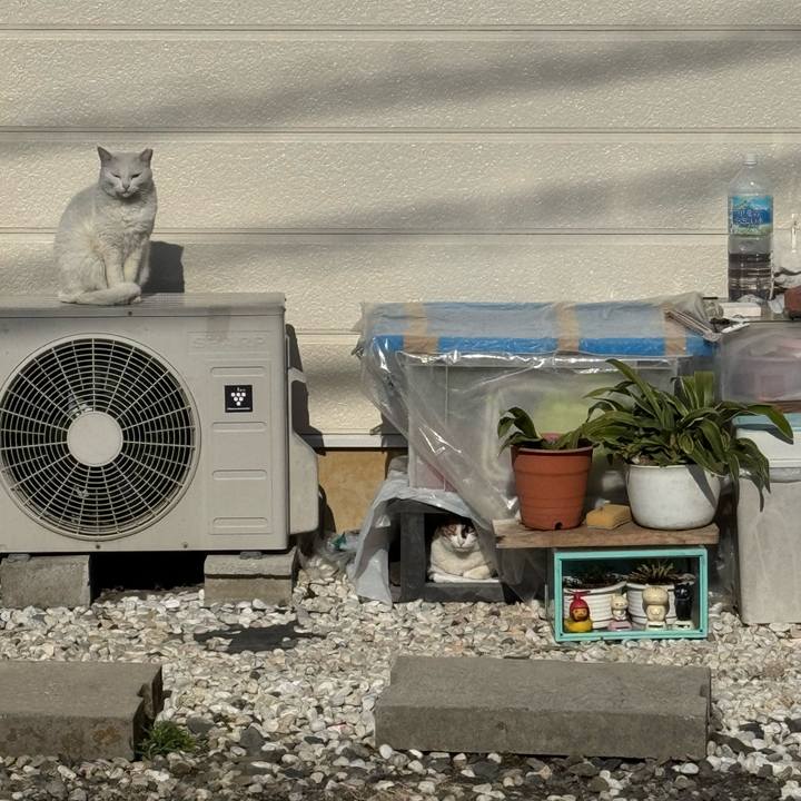 84d603e4 7dda 4712 abd3 33f66bb7912b 1773281961033