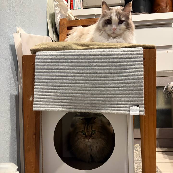 84d62203 52b6 4038 8d3f e07ae16c7e76 1767570710551