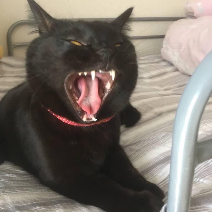 84d62c3f 7951 47a7 bd2c d8cfa29ff730 1524138401176