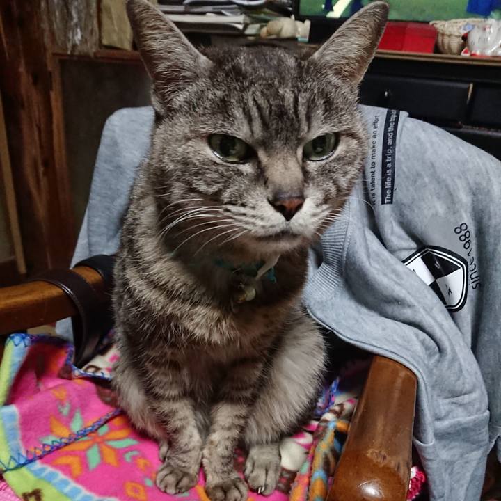 84d66178 f51b 4139 bafc 6a78a9c78bb1 1554461498529