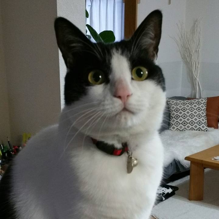 84d6706a 849e 4208 bf8e f4cfe0570d9b 1521154029742