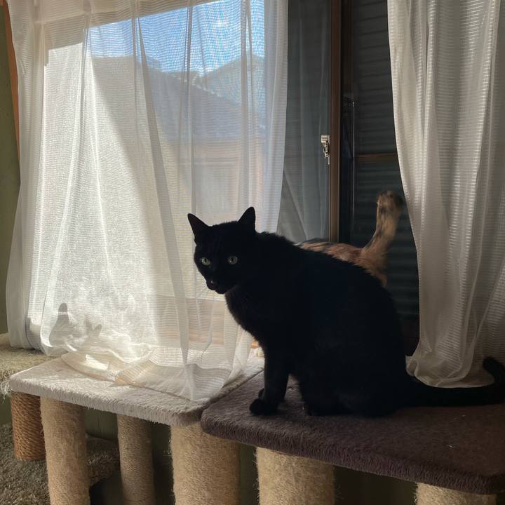 84d70781 dbca 447c 85a6 be2bd245800b 1606949300708